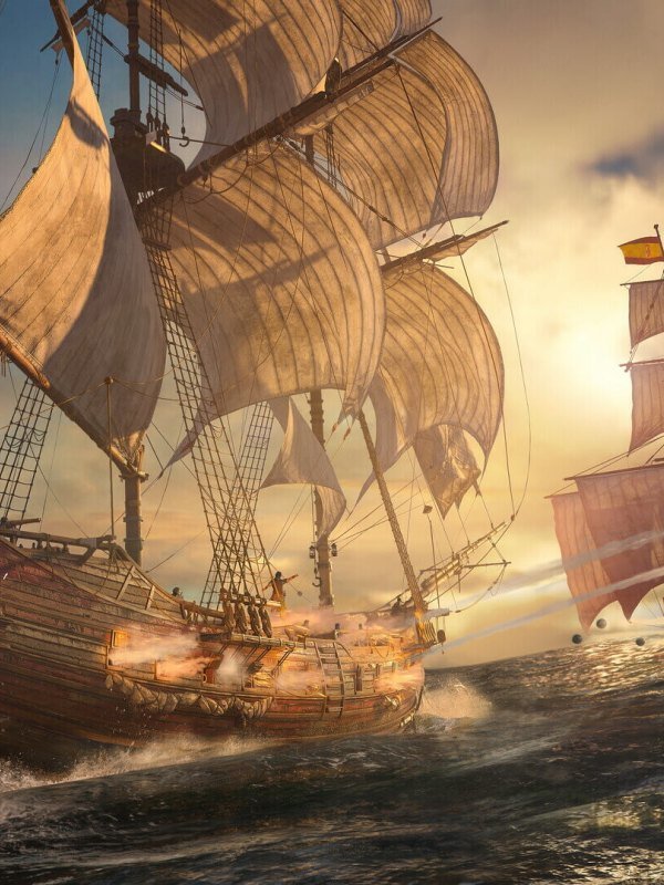 Assassin's Creed Back Flag Resynced